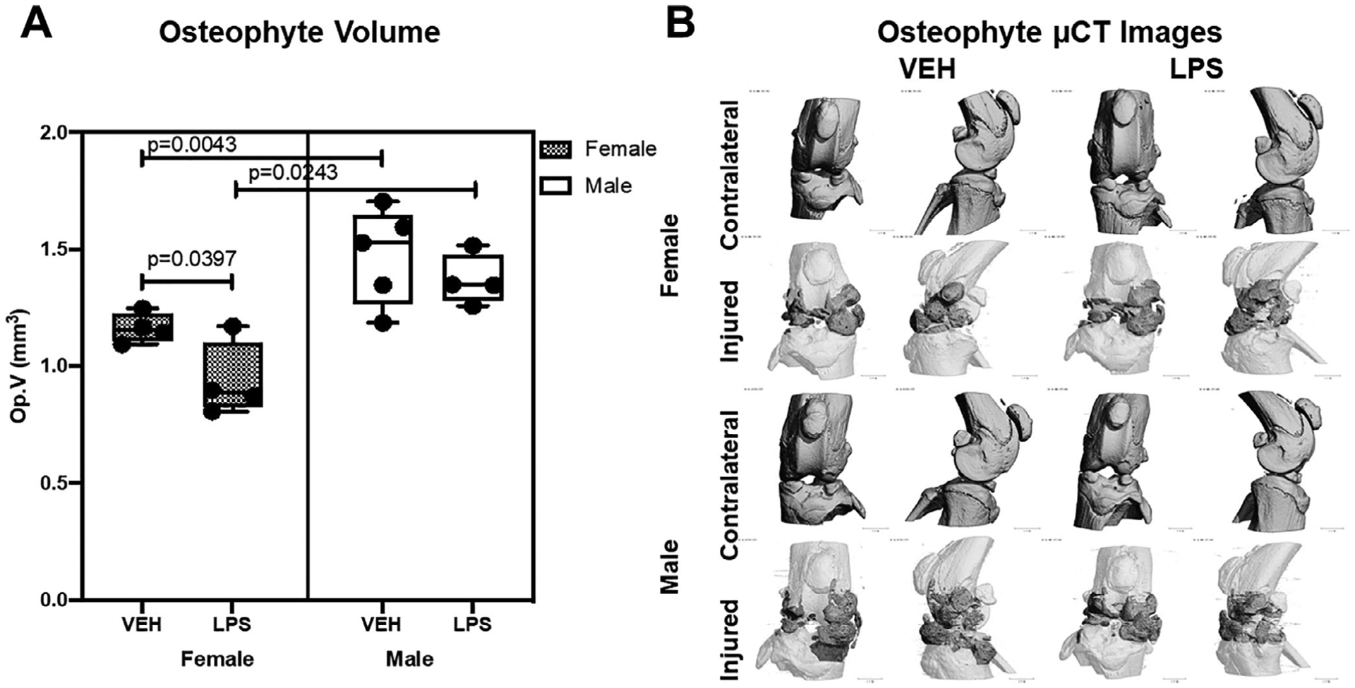 Fig 3.