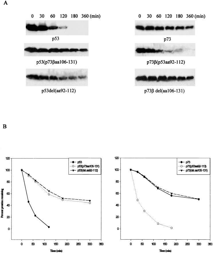 FIG. 6