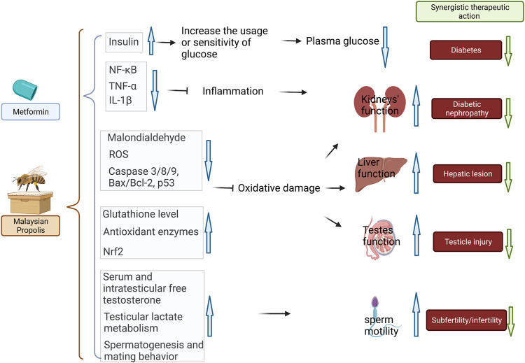 FIGURE 4