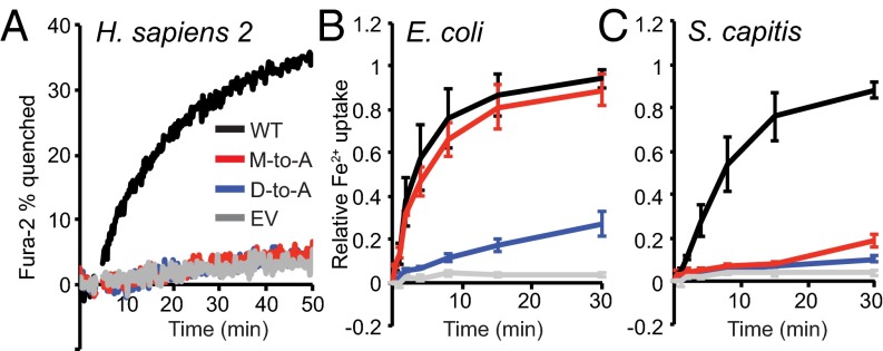 Fig. 2.