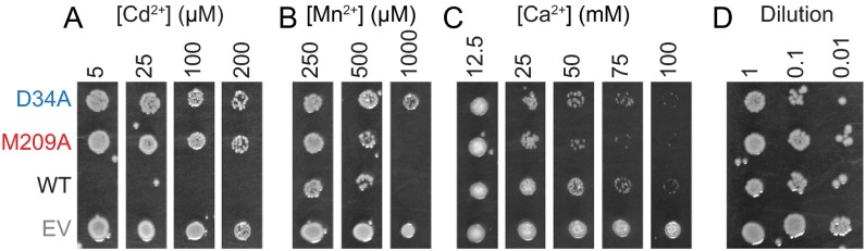 Fig. S9.