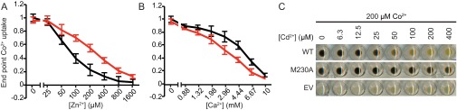 Fig. S5.