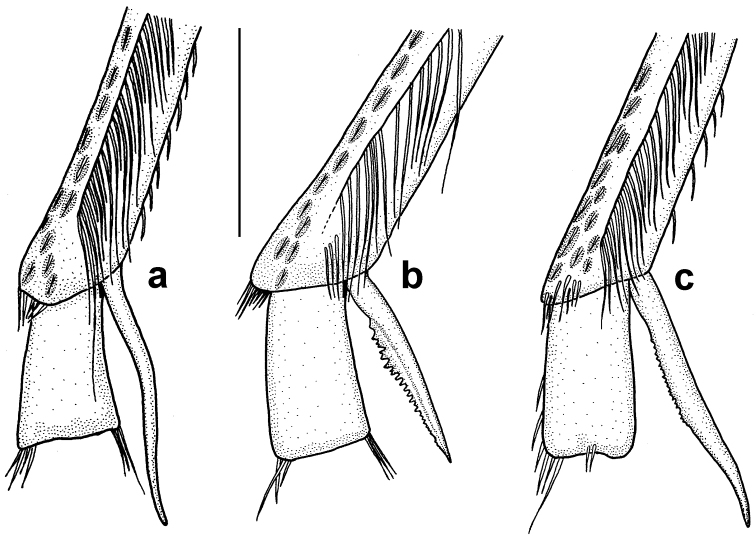 Figure 7.