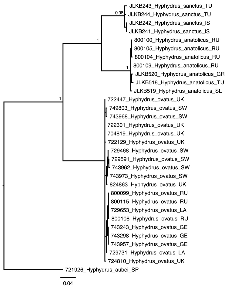 Figure 1.