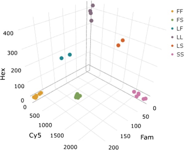 Fig. 2