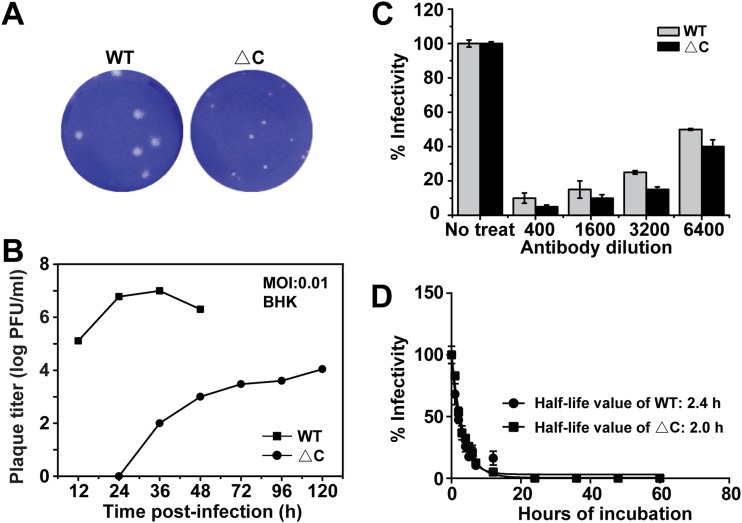 FIG 4