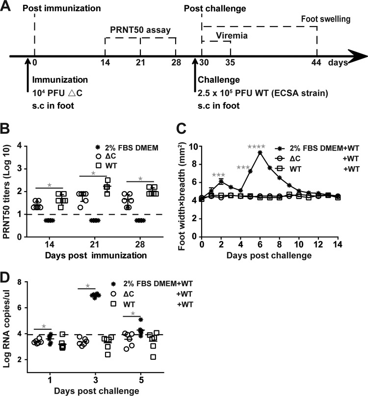 FIG 10