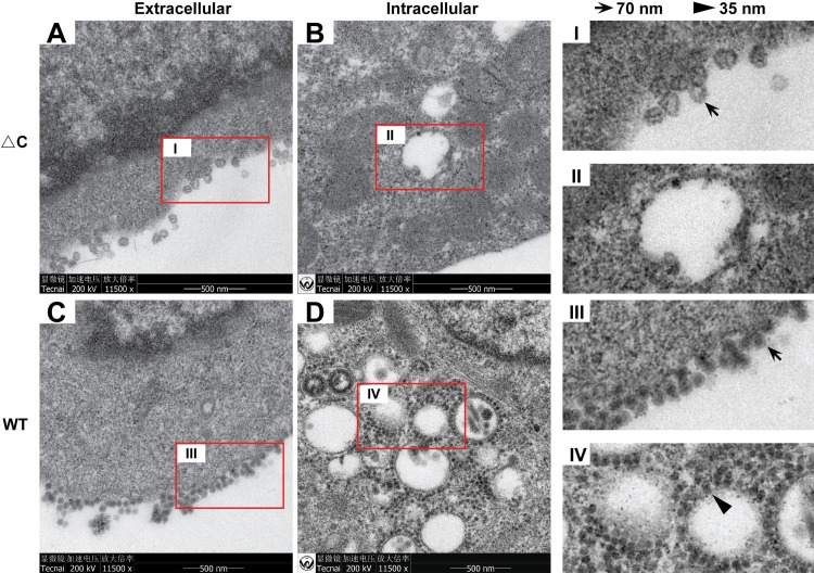 FIG 3