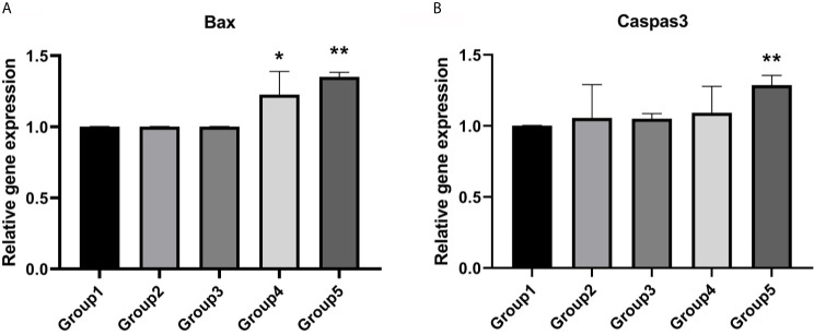 Figure 3