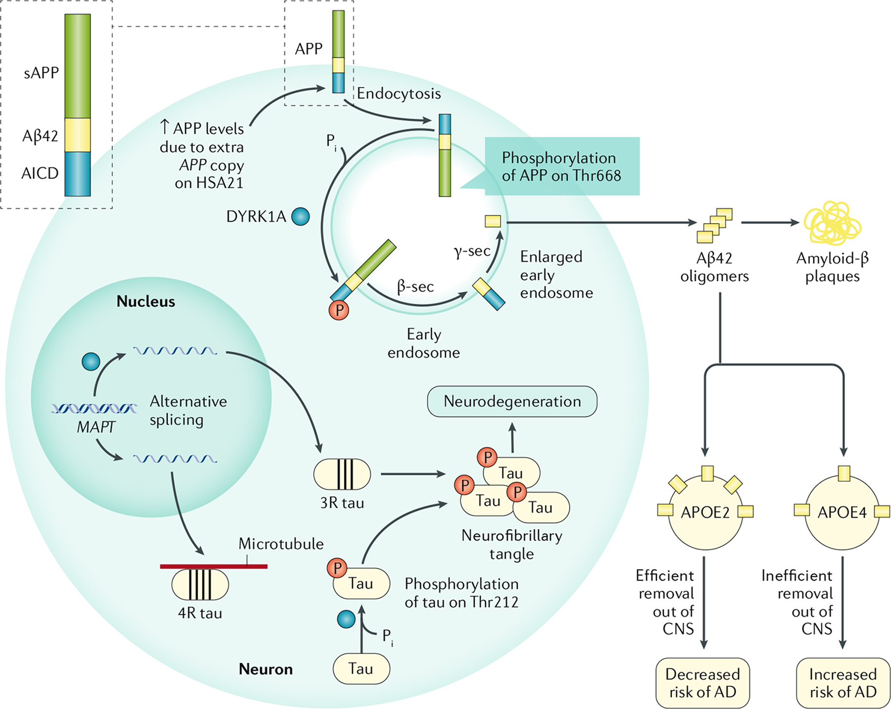 Fig. 4 |