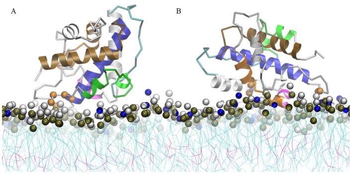 Fig. 7