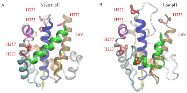 Fig. 1