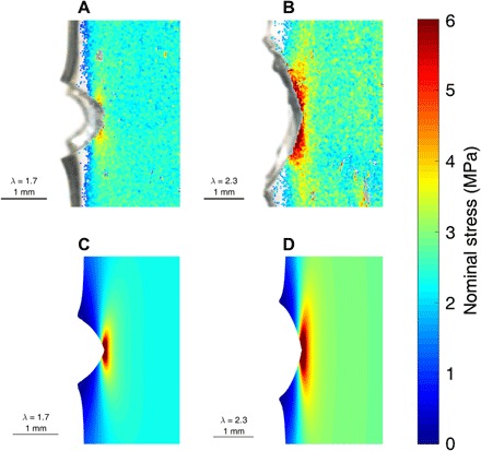 Fig. 6