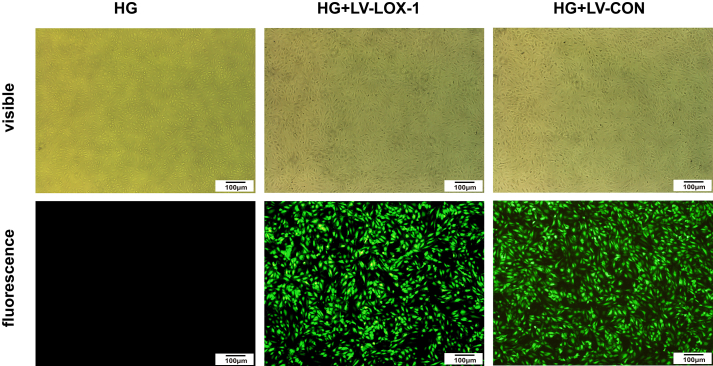 Figure 3