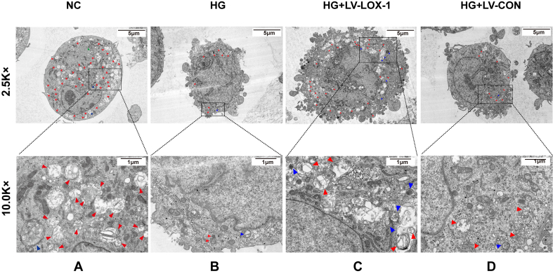 Figure 2