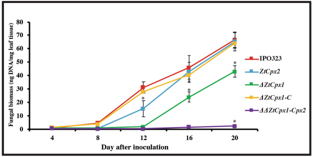 FIGURE 7