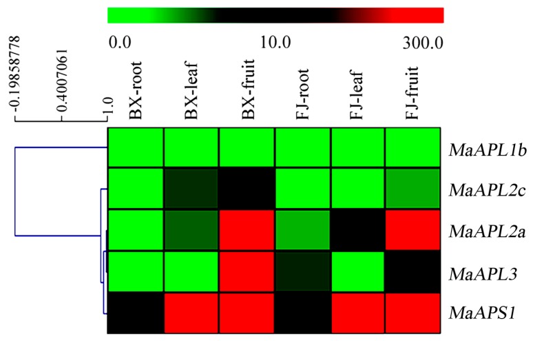 Figure 4