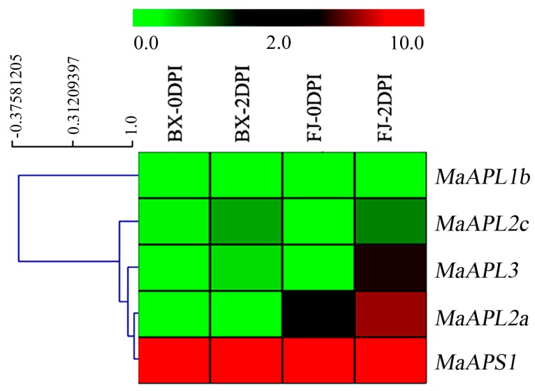 Figure 7