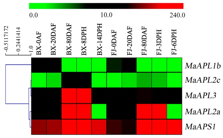 Figure 5