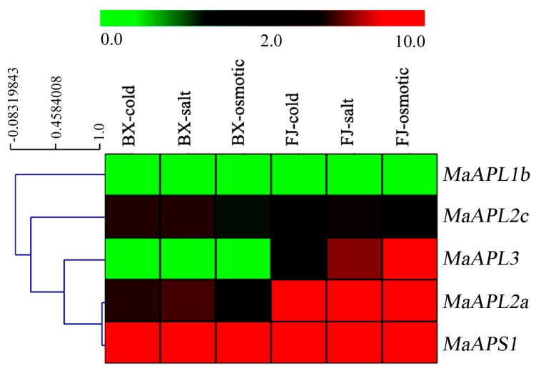 Figure 6