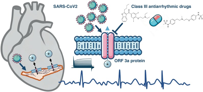 Graphical Abstract