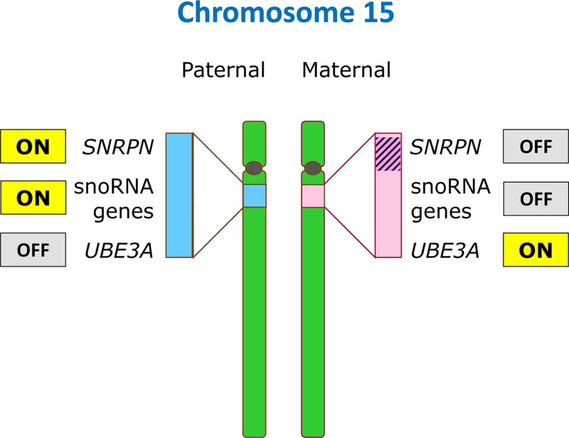 Figure 27