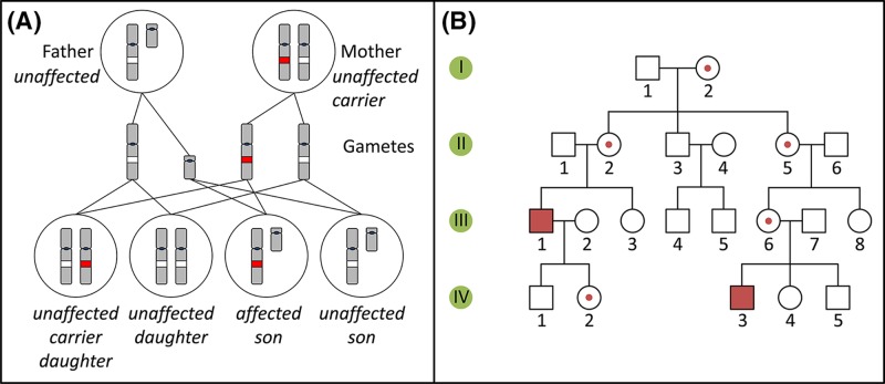 Figure 12