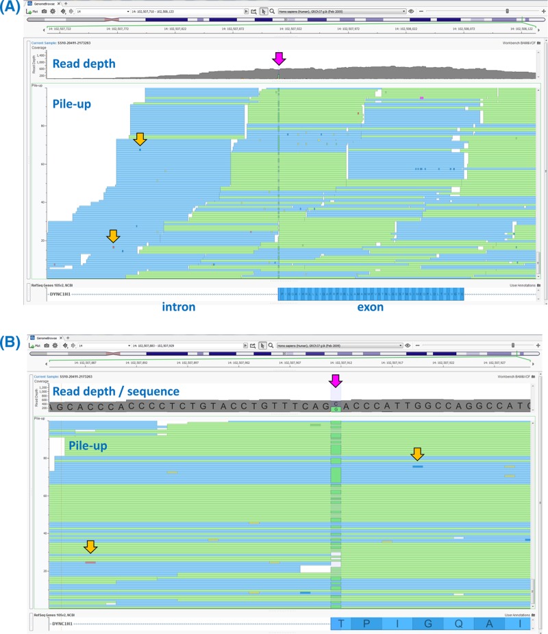 Figure 48