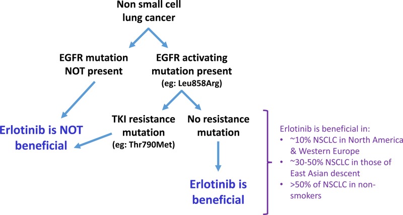 Figure 53