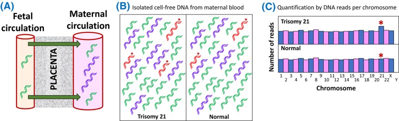 Figure 50