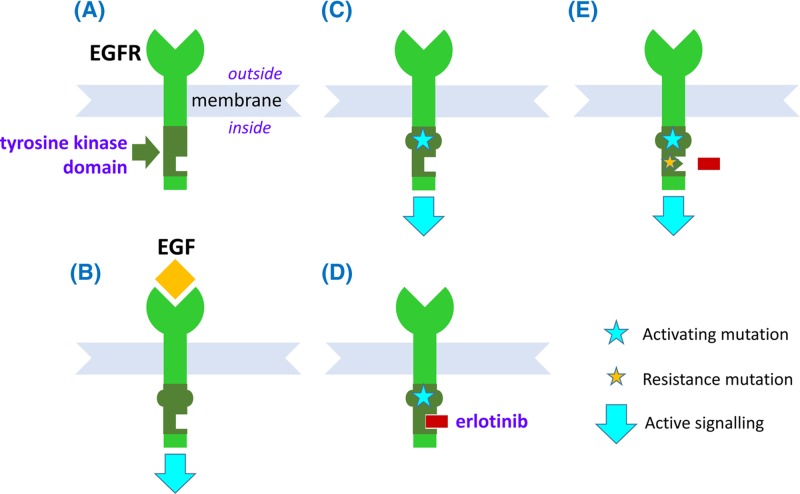 Figure 52