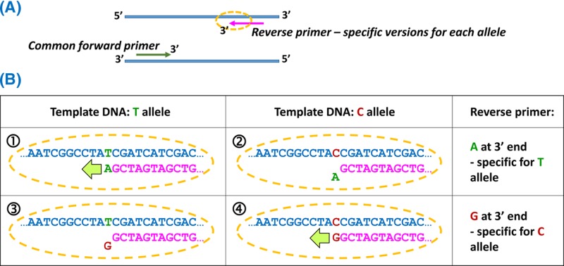 Figure 40