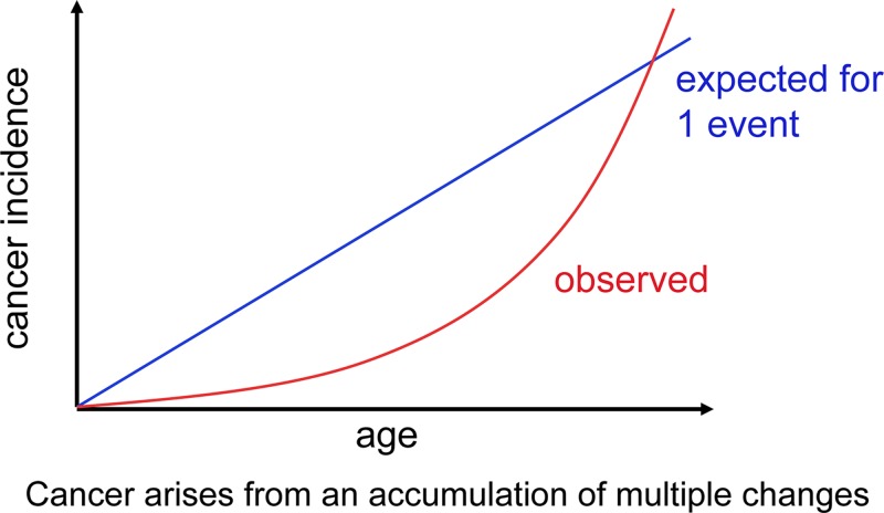 Figure 32