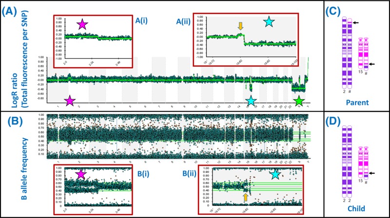 Figure 47