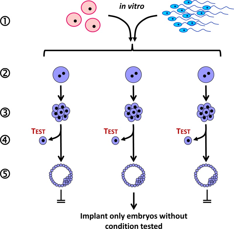 Figure 51