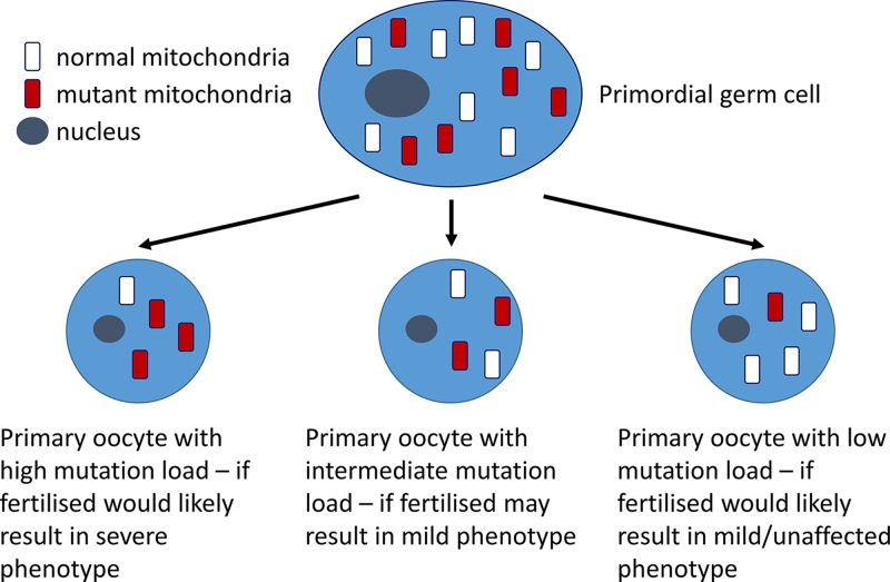 Figure 19