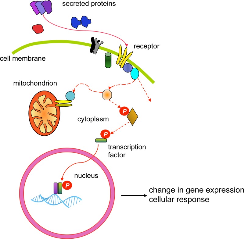 Figure 34