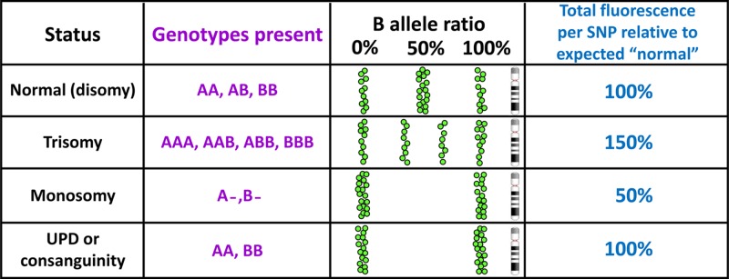 Figure 46