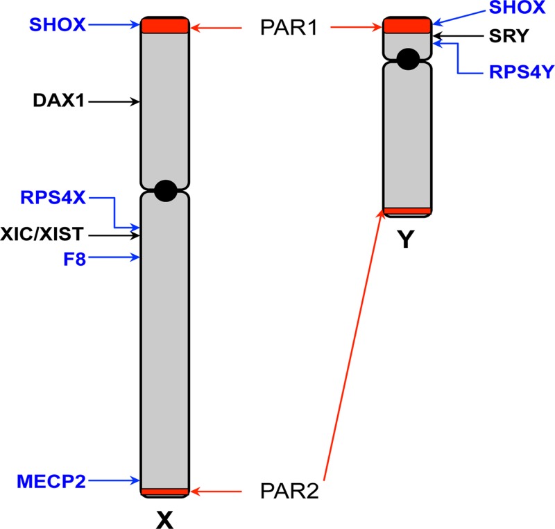 Figure 8