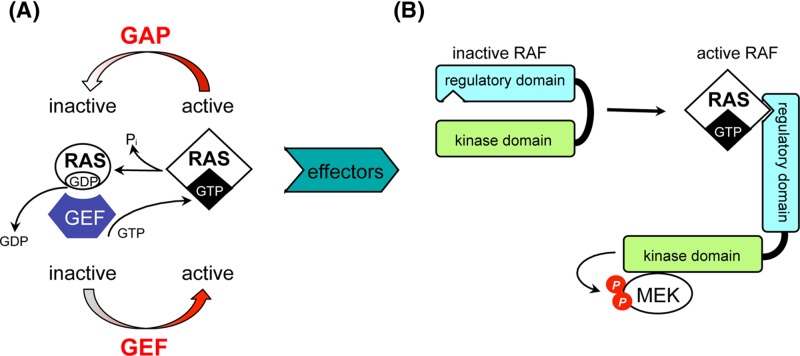 Figure 36