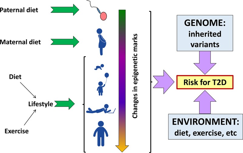 Figure 30