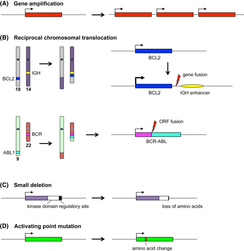 Figure 35