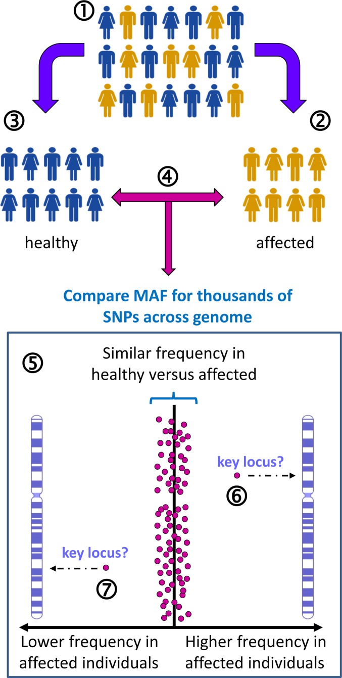 Figure 29