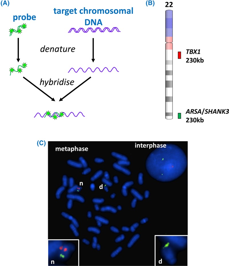 Figure 39