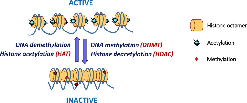 Figure 25