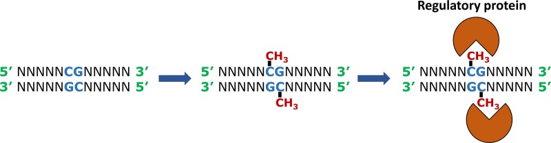 Figure 22