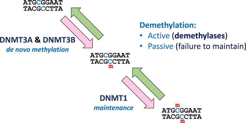 Figure 23