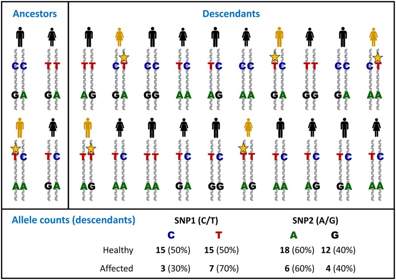 Figure 28