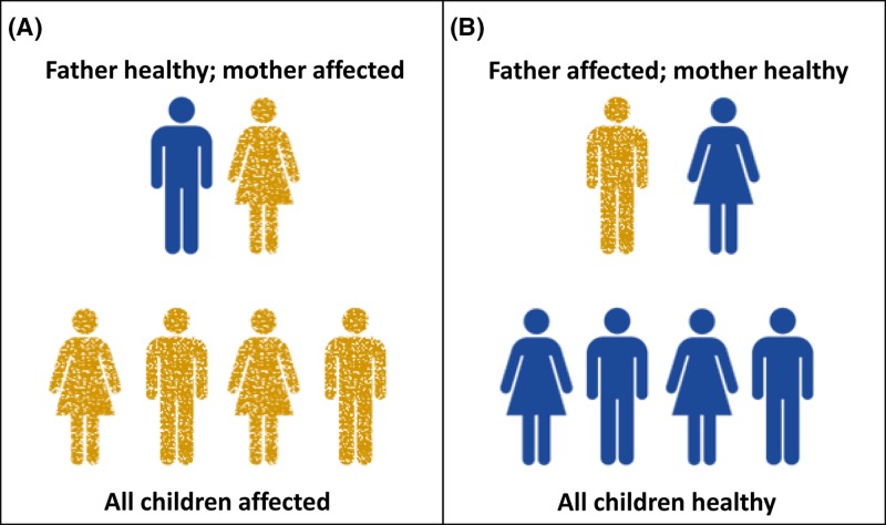 Figure 18