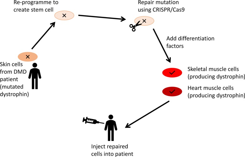 Figure 55